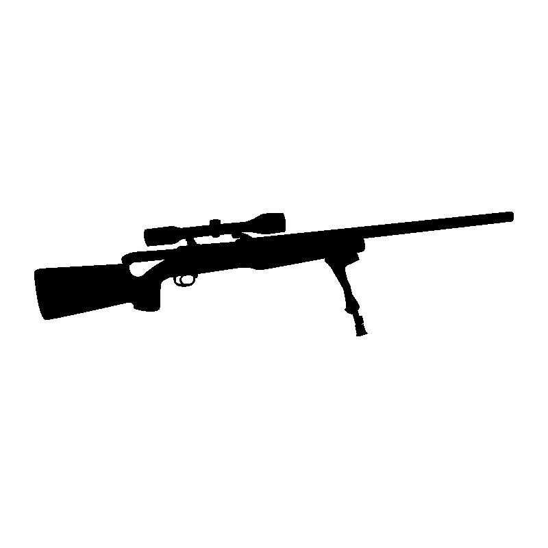Fusil 204