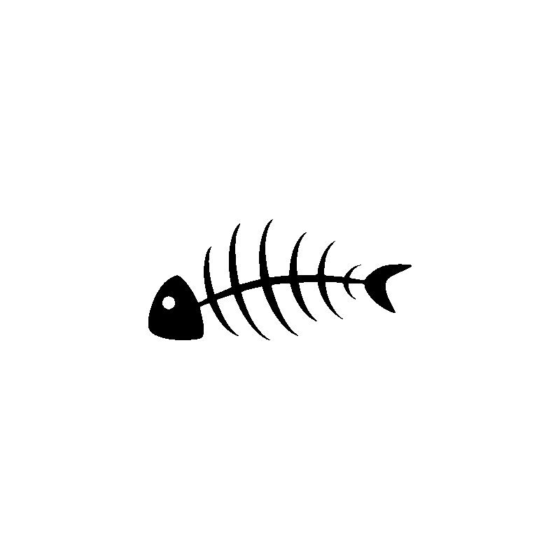 chasseyr 5480