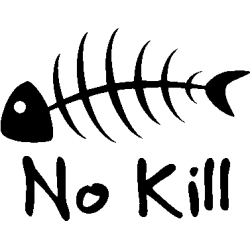peche 5496