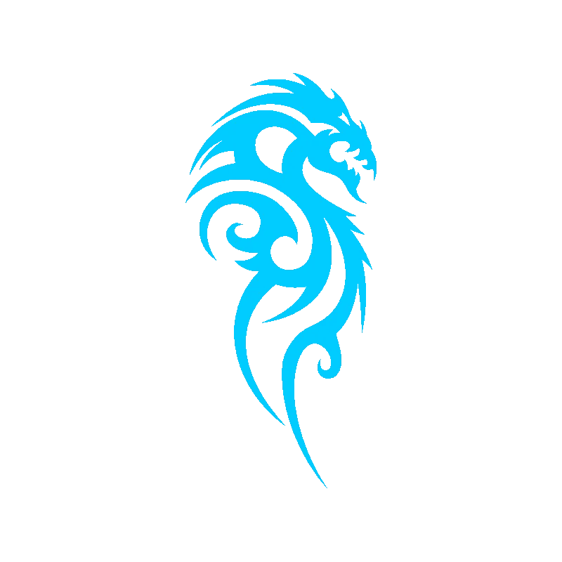 dragon 5520