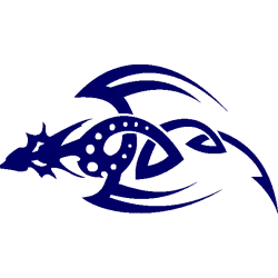 dragon 5524