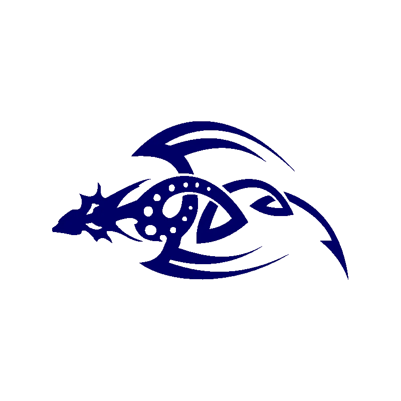 dragon 5524