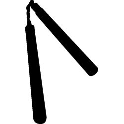 Bombe lacrymogène