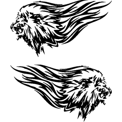 deco flaming 17
