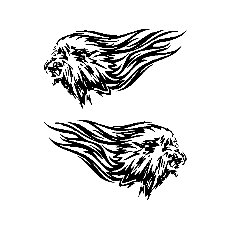 deco flaming 17