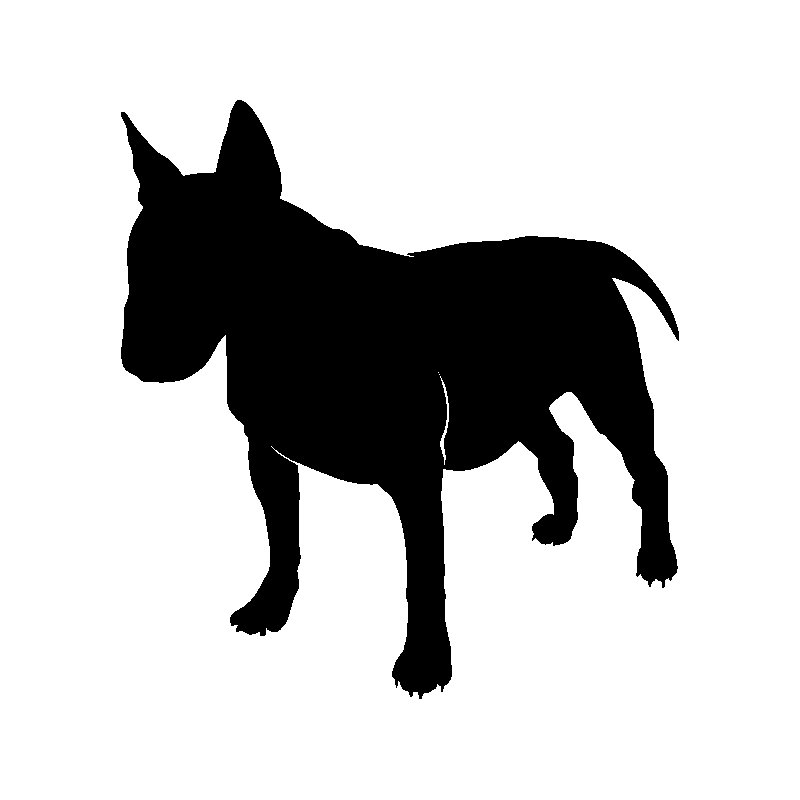 chien 5579