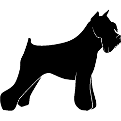 chien 5580