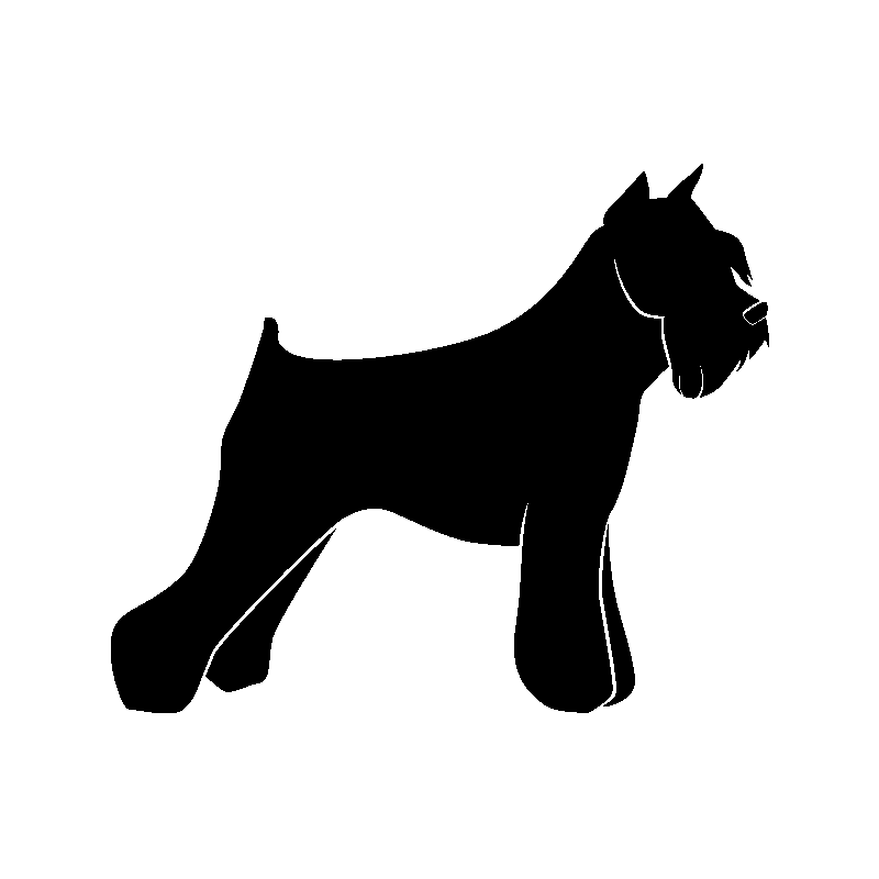 chien 5580