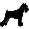 chien 5580