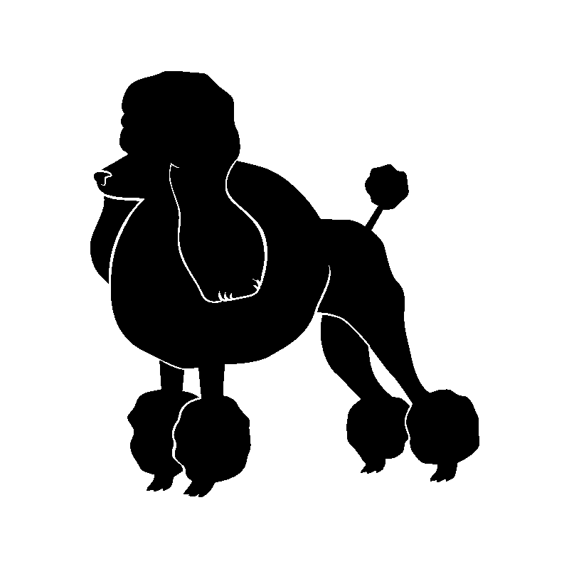 chien 5581