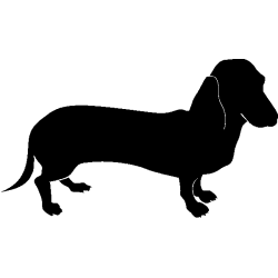 chien 5583