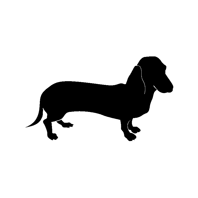 chien 5583