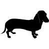 chien 5583
