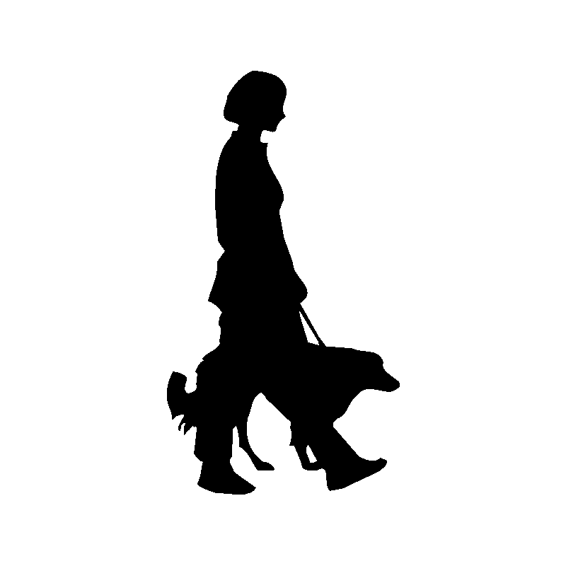 chien 5585