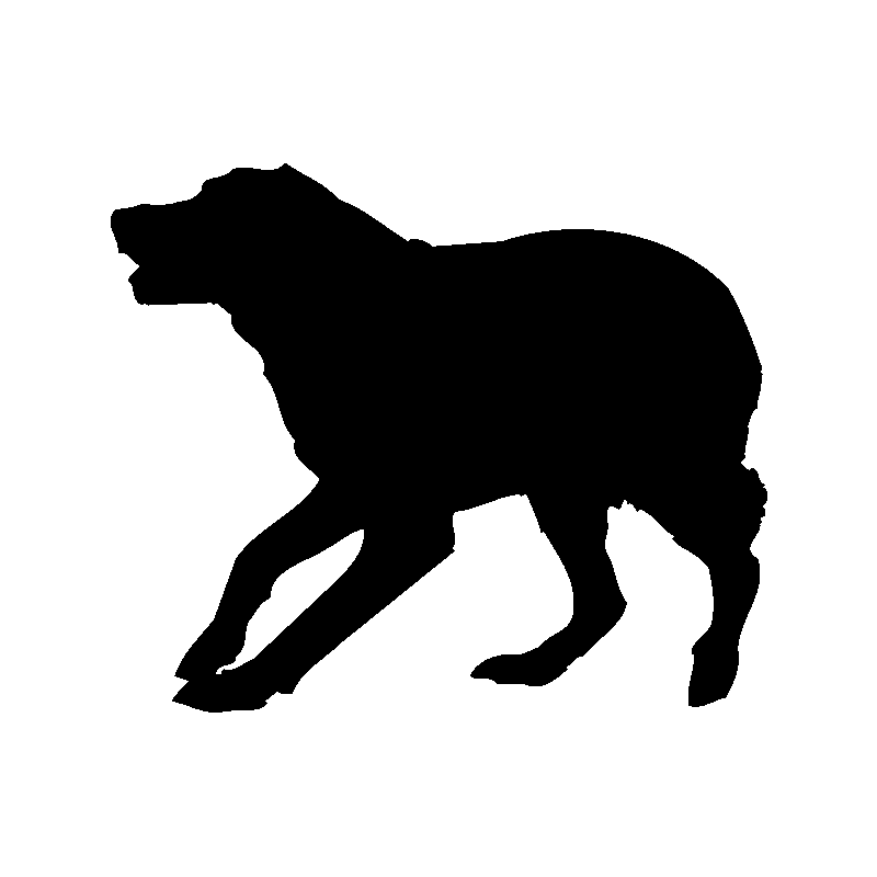 chien 5587