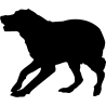 chien 5587