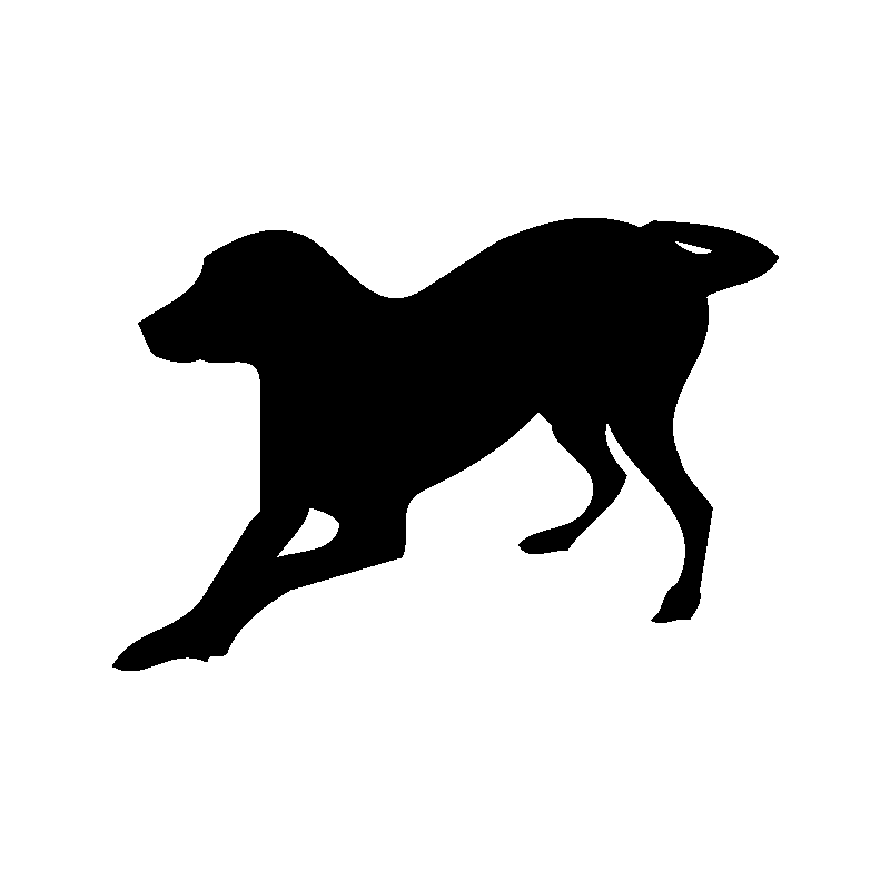 chien 5588