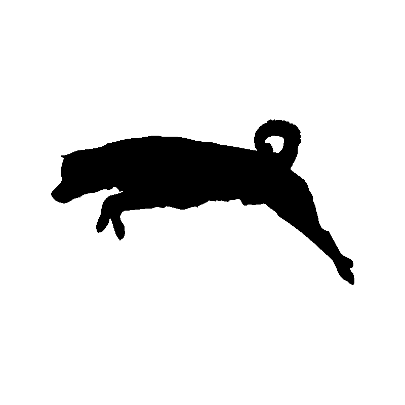 chien 5590