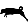 chien 5590