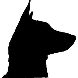 chien 5592