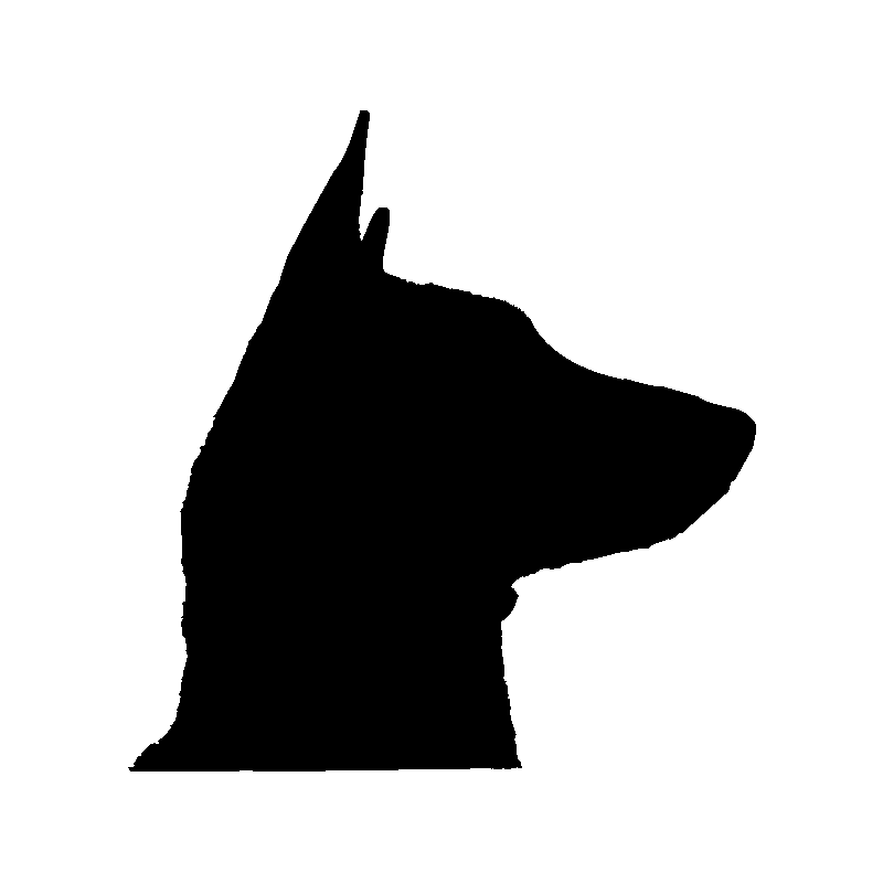 chien 5592