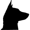 chien 5592