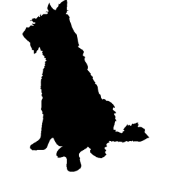 chien 5593