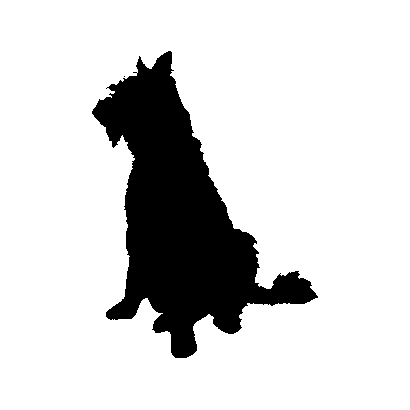 chien 5593