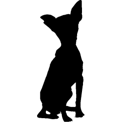chien 5594