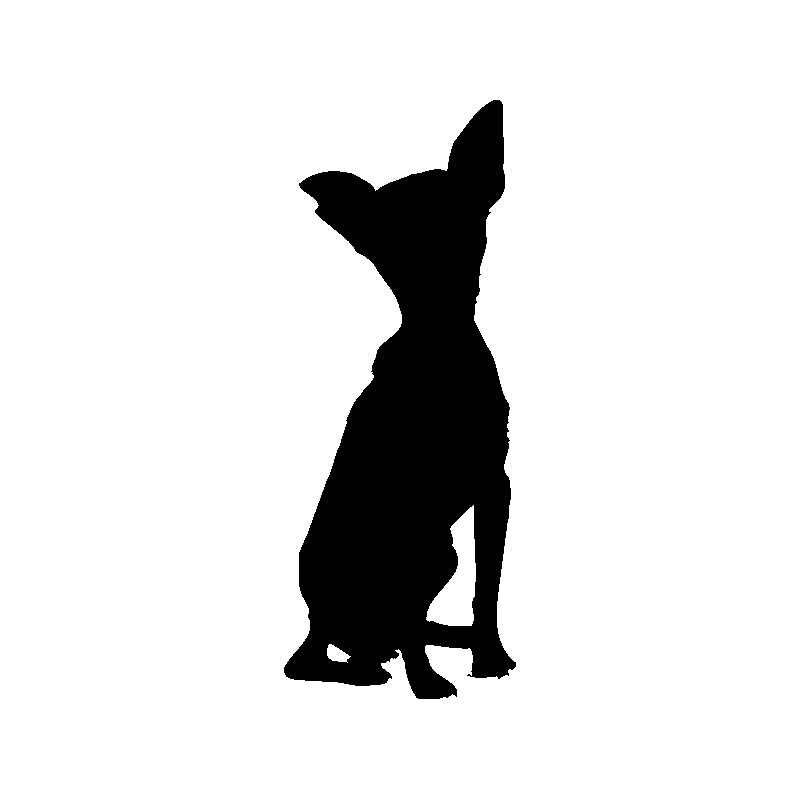 chien 5594