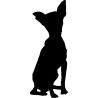 chien 5594