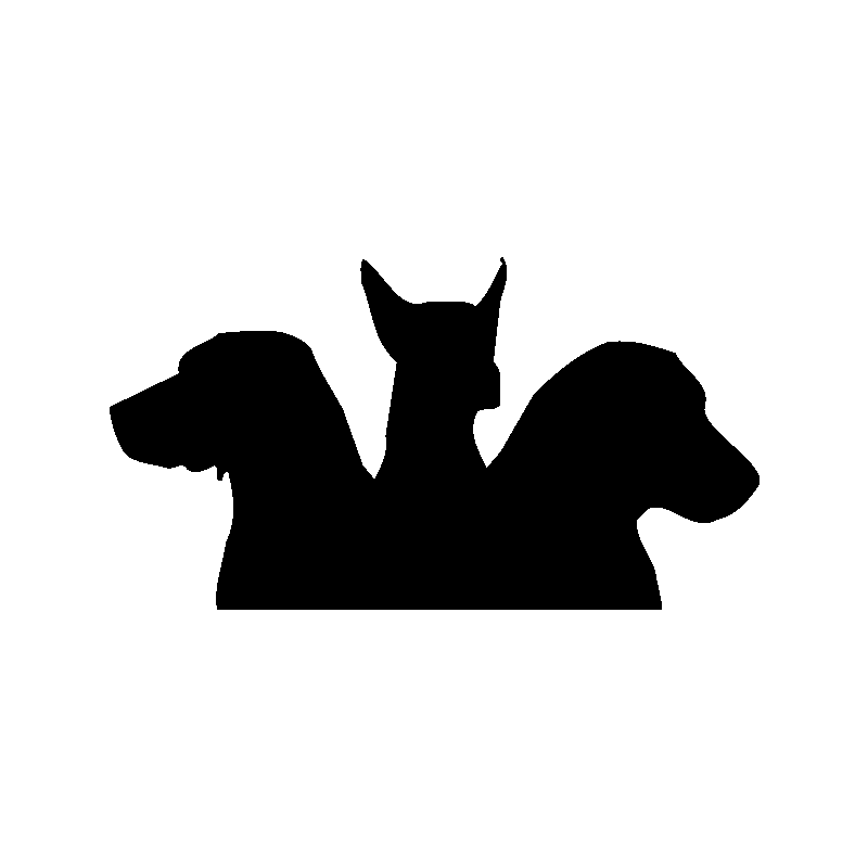 chien 5596
