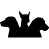 chien 5596