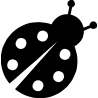 chat8