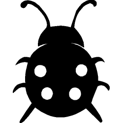 Coccinelle 348
