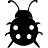 Coccinelle 348
