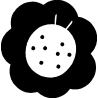 Coccinelle 351