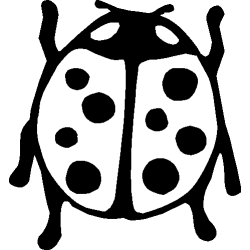 Coccinelle 352