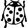 Coccinelle 352