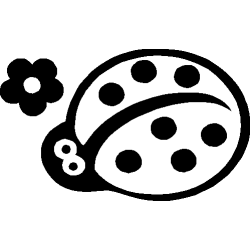 Coccinelle 354