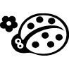 Coccinelle 354