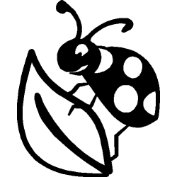 Coccinelle 355