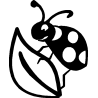 Coccinelle 355