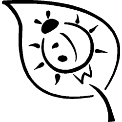 Coccinelle 356