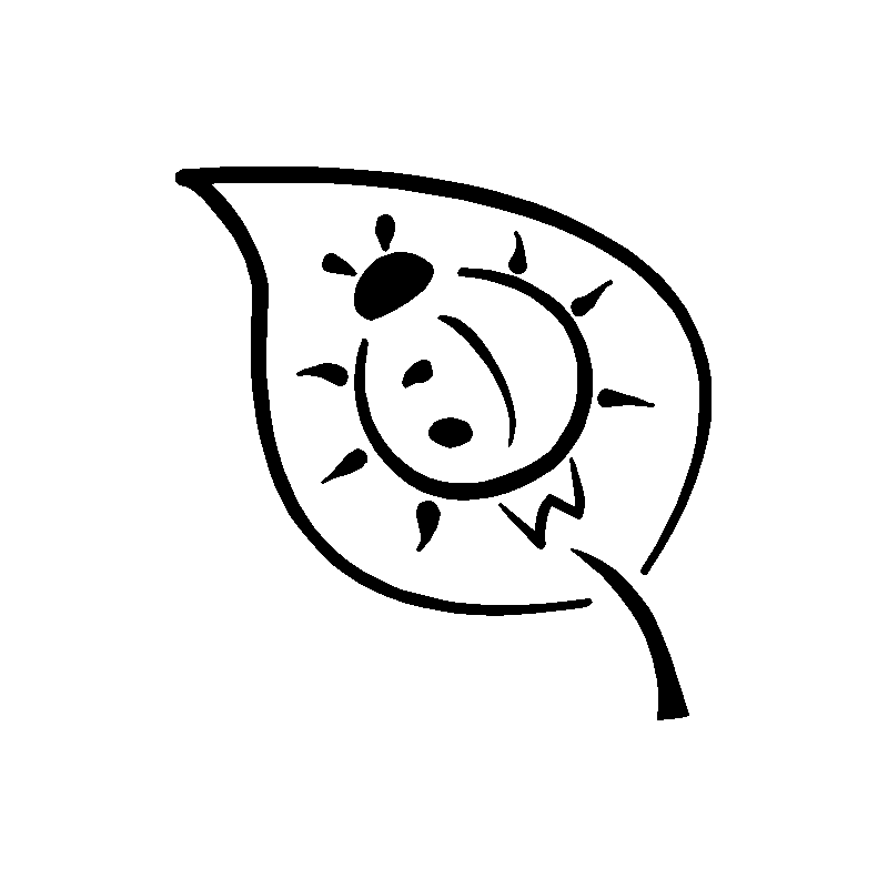 Coccinelle 356