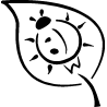Coccinelle 356