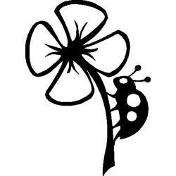 Coccinelle 357