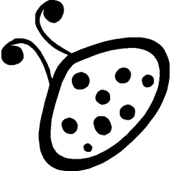 Coccinelle 361