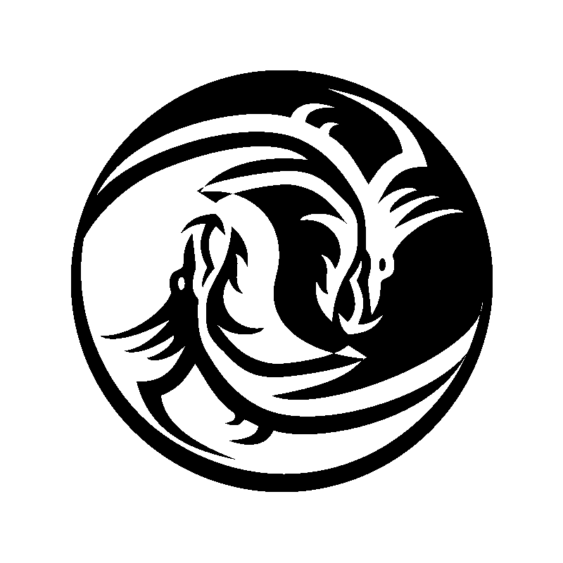 dragon 5532