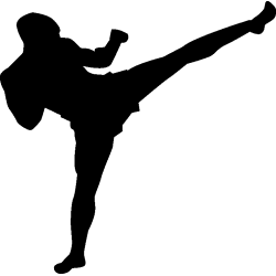 karate 1